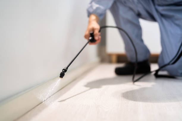 Bed Bug Pre-Treatment Preparation Assessment in Anderson Creek
