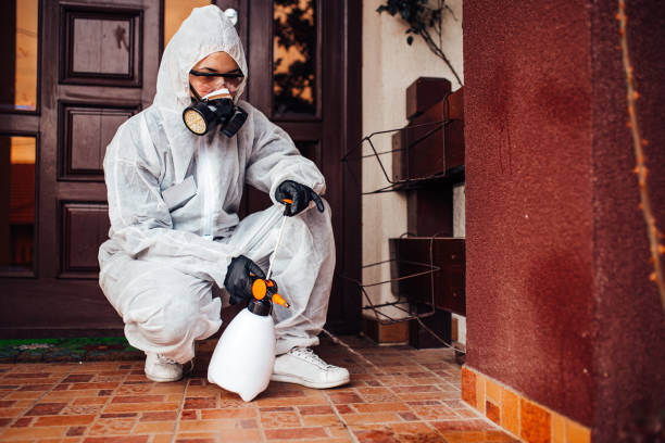 Multi-Unit and Airbnb Bed Bug Protocol in Anderson Creek