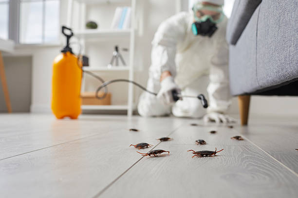 Post-Treatment Bed Bug Interceptor Monitoring in Anderson Creek