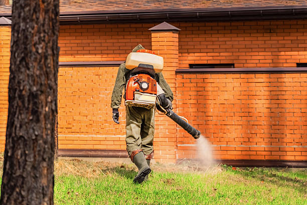 Bed Bug Clearance Verification and Documentation in Anderson Creek